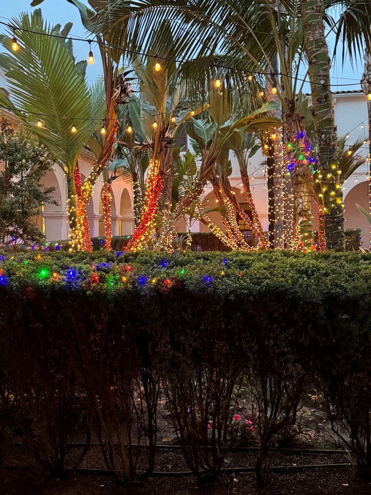 Christmas-themed Guided Tour