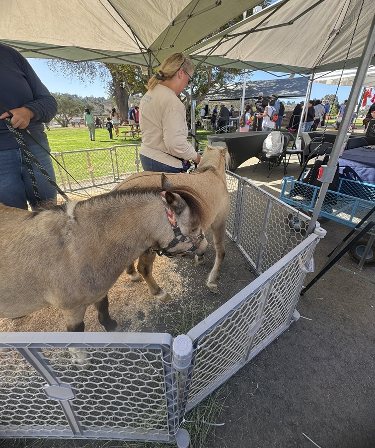 The Blessing of the Animals - Mission San Luis Rey 12